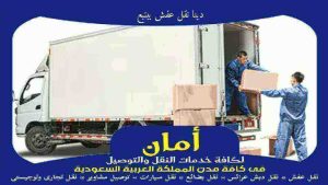 دينا نقل عفش بينبع